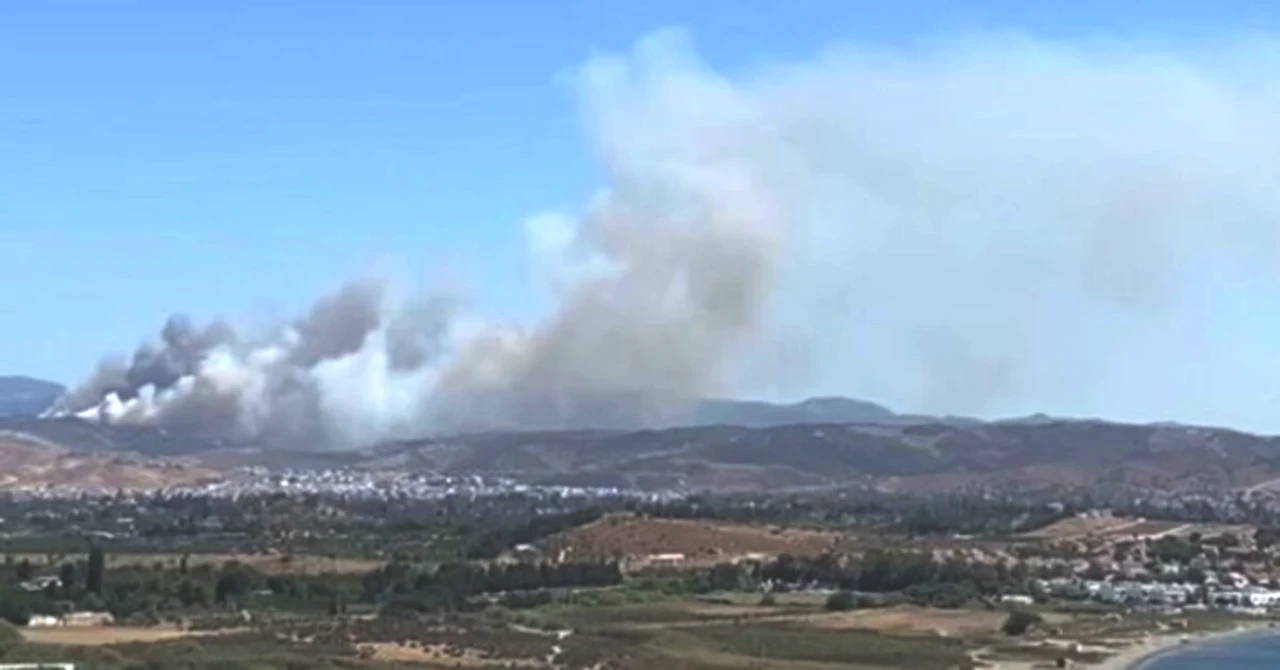 İzmir Seferihisar'da Orman Yangını! Son Durumu ve Tüm Gelişmeleri Öğrenin!