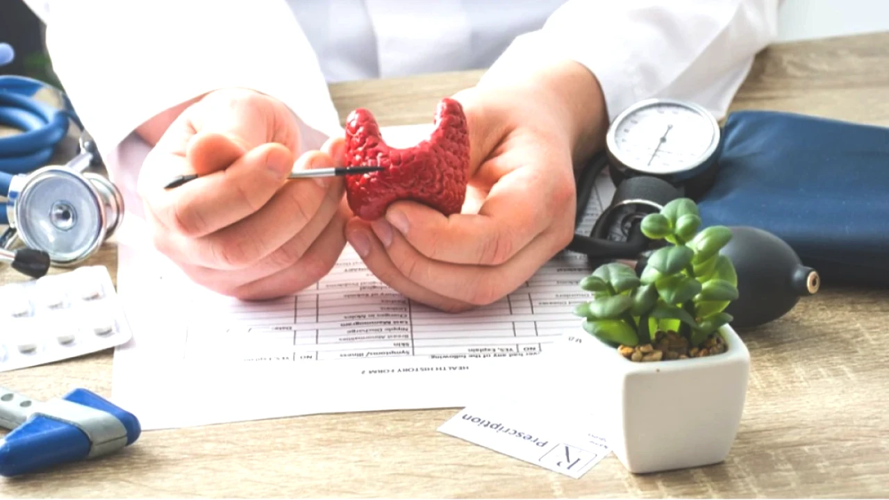Metabolizmanızı Hızlandıracak 5 Etkili Kural! Diyetisyenlerden İpuçları!