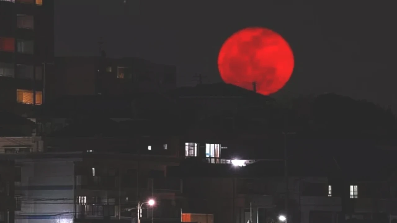 Kanlı Ay'ın Deprem Korkusu! Uzmanlardan Şaşırtan Yanıtlar