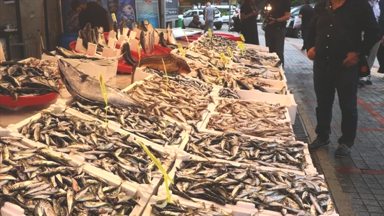 Balık Fiyatlarında Büyük Düşüş! Tezgahlar Şenlendi, Vatandaşlar Coştu!